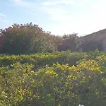 Presqu'ile De Giens, Maison Rdc Avec Acces Et Jardin Prives Sans Vis-a-vis, Piscine, Plages A 2 Min A Pieds *