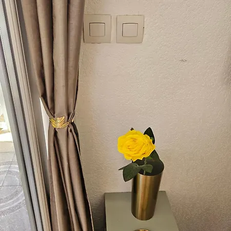Apartment Presqu'ile De Giens, Maison Rdc Avec Acces Et Jardin Prives Sans Vis-a-vis, Piscine, Plages A 2 Min A Pieds